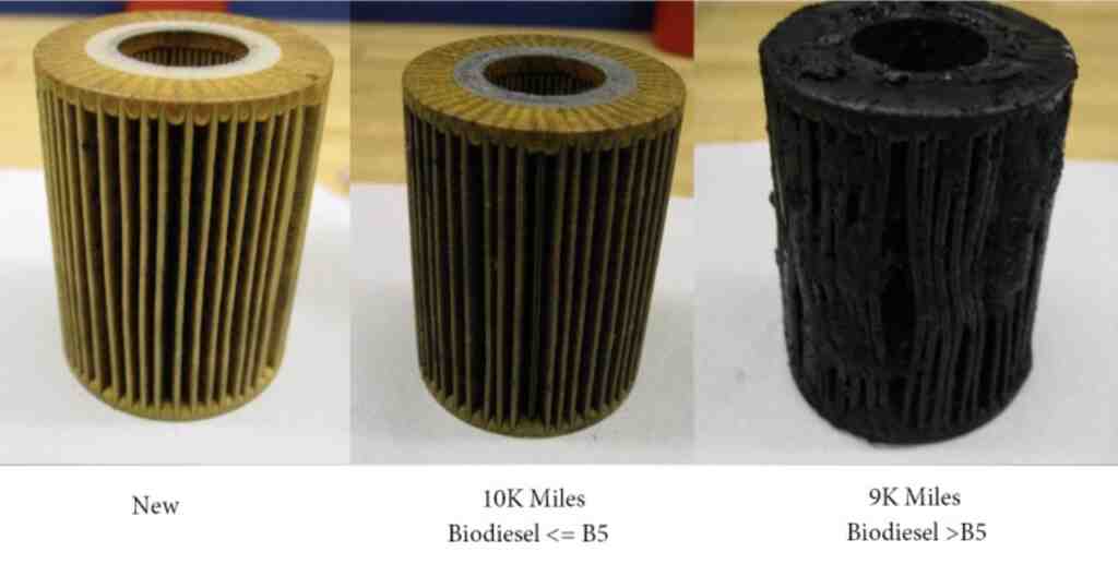 Biodiesel Filters