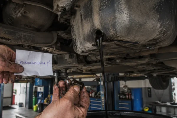 TEC 2000 vs Liqui Moly - Engine Flush Compared